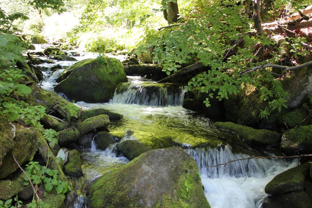 Svit Sontsya Tur'ya Polyana Exterior foto